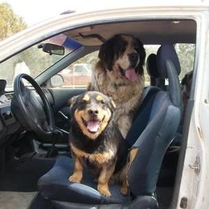 Meet your Posher, Paul